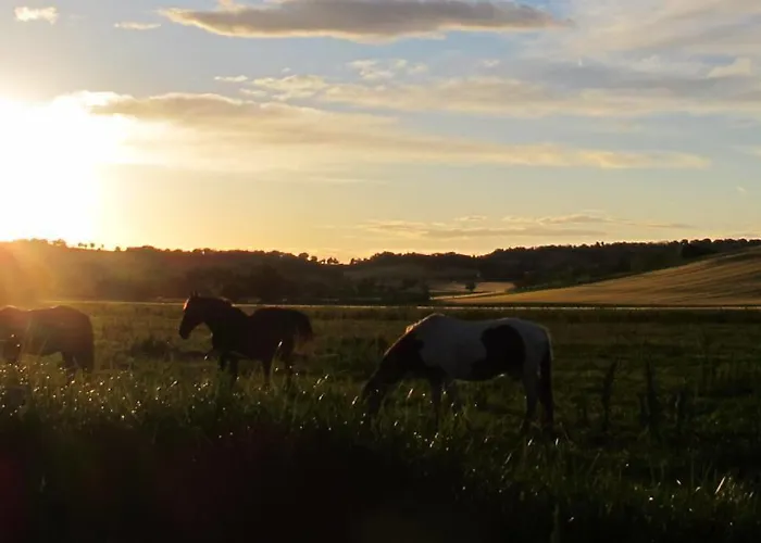 Séjour à la ferme Hornos *