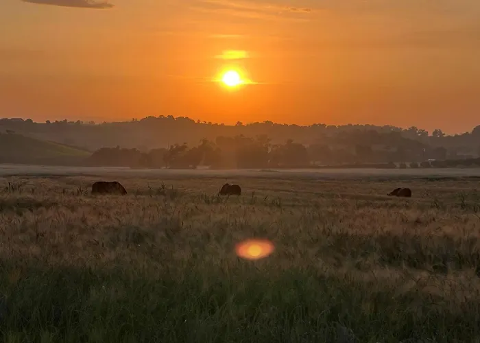 Séjour à la ferme Hornos Numana