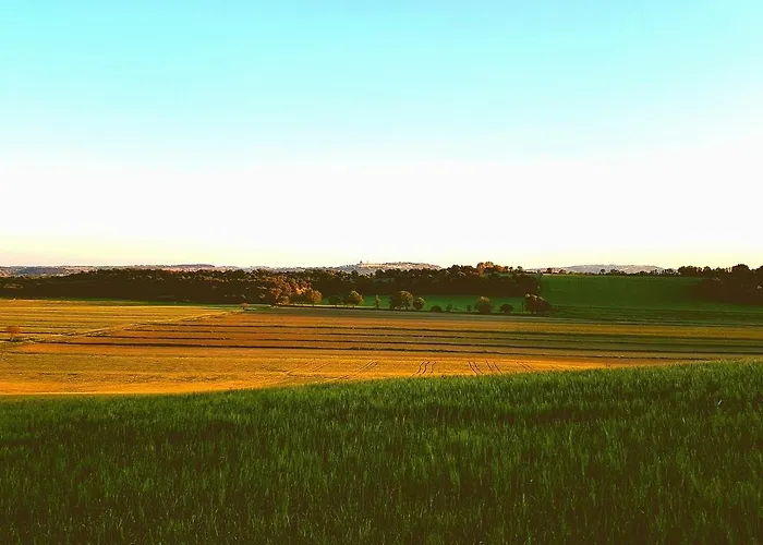 Hornos *